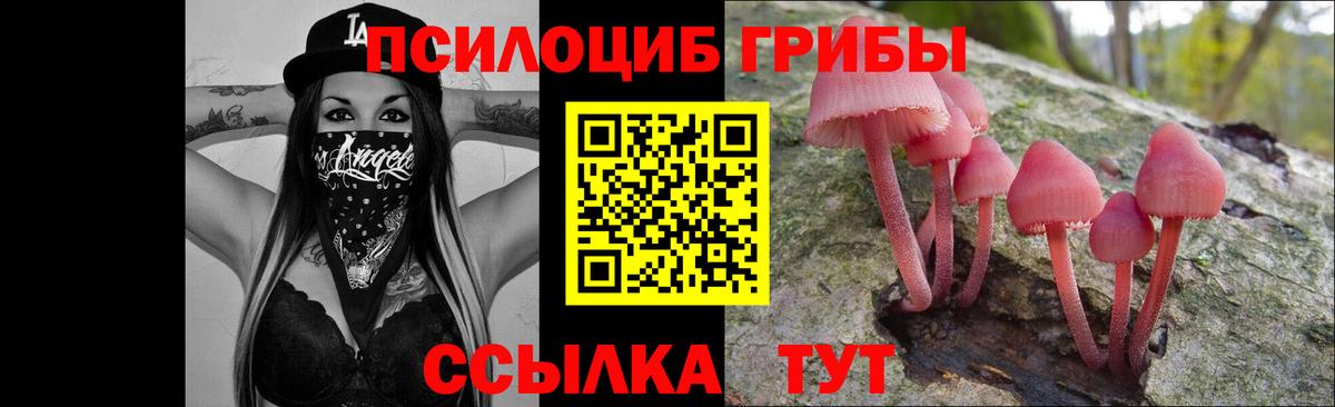 Черкесск  Галлюциногенные грибы мицелий  сколько стоит  Галлюциногенные грибы Magic Shrooms  Вход с VPN 
